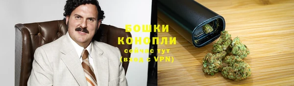 PSILOCYBIN Заволжье